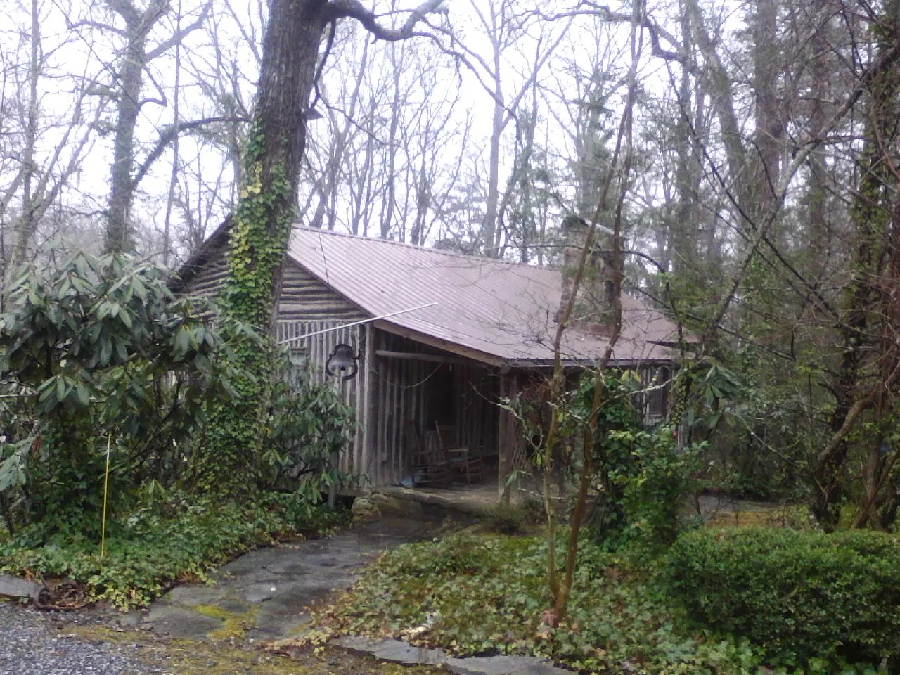 Weathered metal roof on an old board sided cabin in the woods in Council